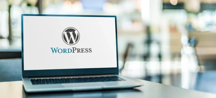 How to Connect Your Domain to WordPress the Right Way?