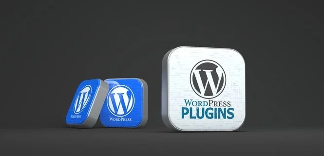 what is plugin in website 12