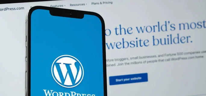 what is wordpress used for 13