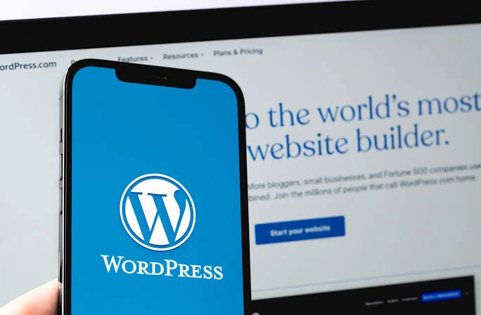 What Is WordPress Used For