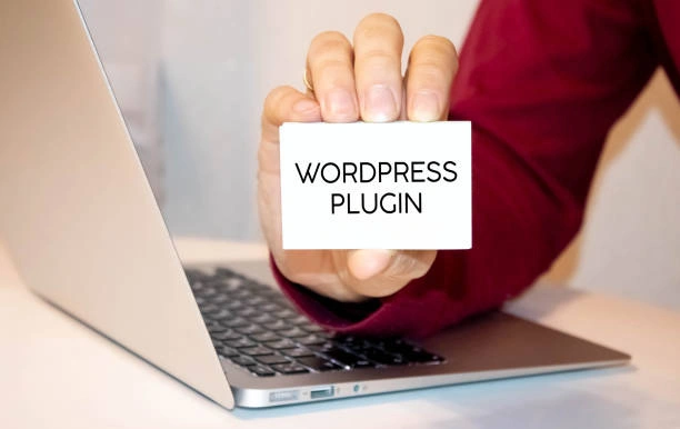 Why Use a Plugin?