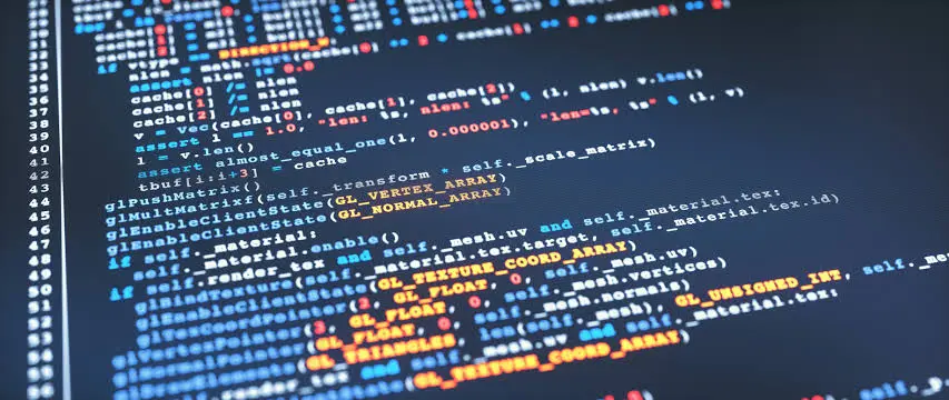 What Is the Need to Check the Python Version